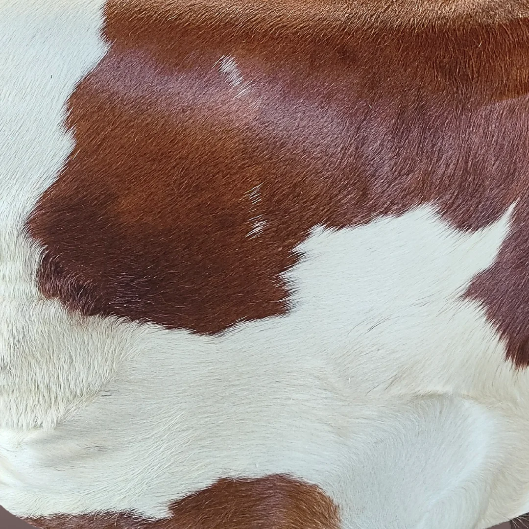 Fauteuil Club The Cow – Image 3